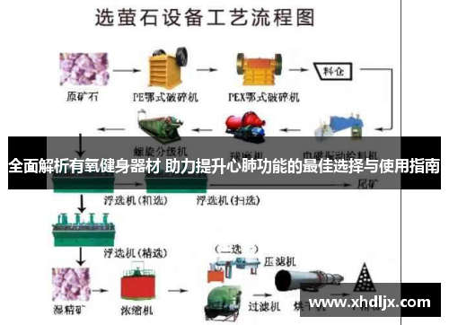 全面解析有氧健身器材 助力提升心肺功能的最佳选择与使用指南