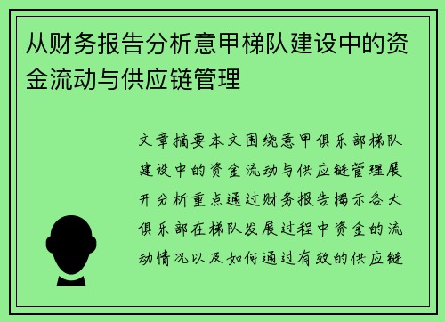 从财务报告分析意甲梯队建设中的资金流动与供应链管理