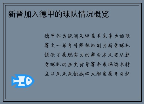 新晋加入德甲的球队情况概览